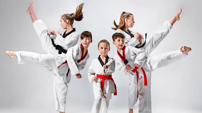 US Taekwondo Center Porter Ranch Picture 7