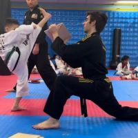 King Taekwondo ico