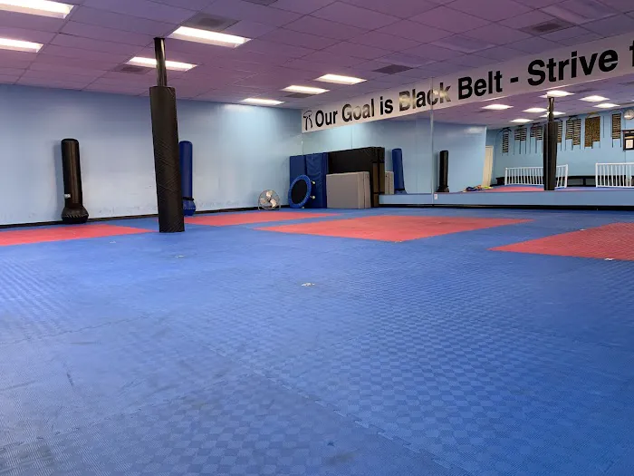 King Taekwondo Picture 4