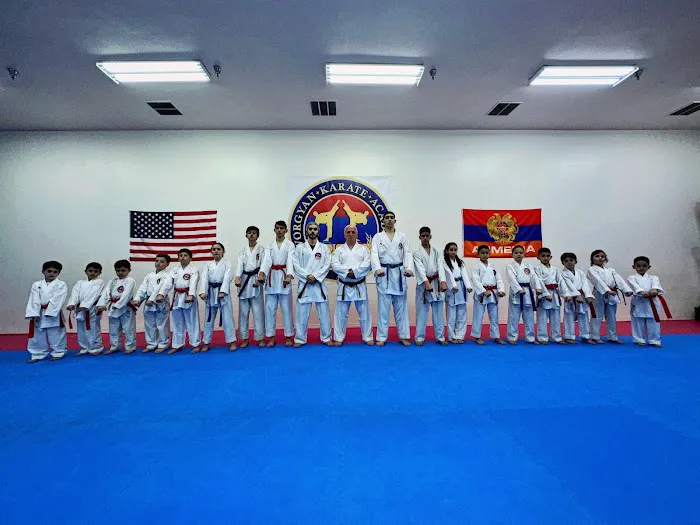 Gevorgyan Martial Arts Academy Picture 3