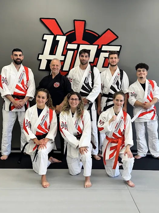 Hiro Martial Arts Picture 1