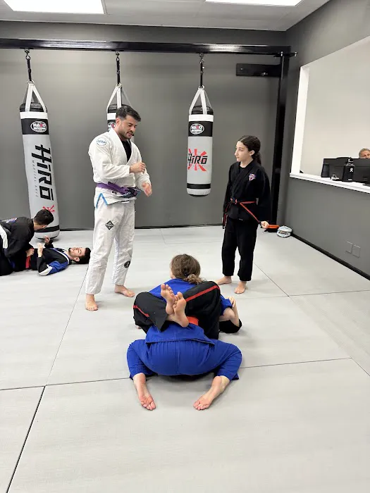 Hiro Martial Arts Picture 2