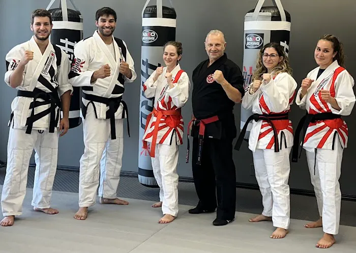 Hiro Martial Arts Picture 7