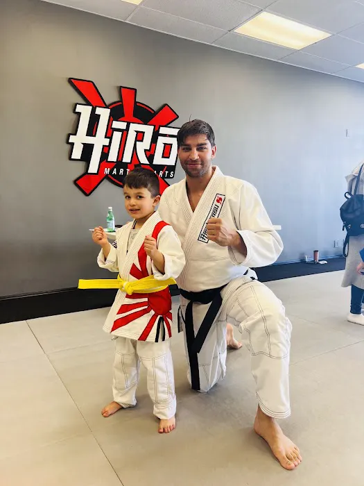 Hiro Martial Arts Picture 6