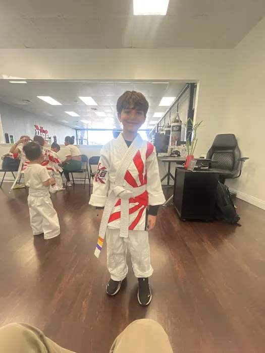 Hiro Martial Arts Picture 3