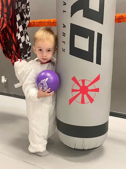 Hiro Martial Arts Picture 5