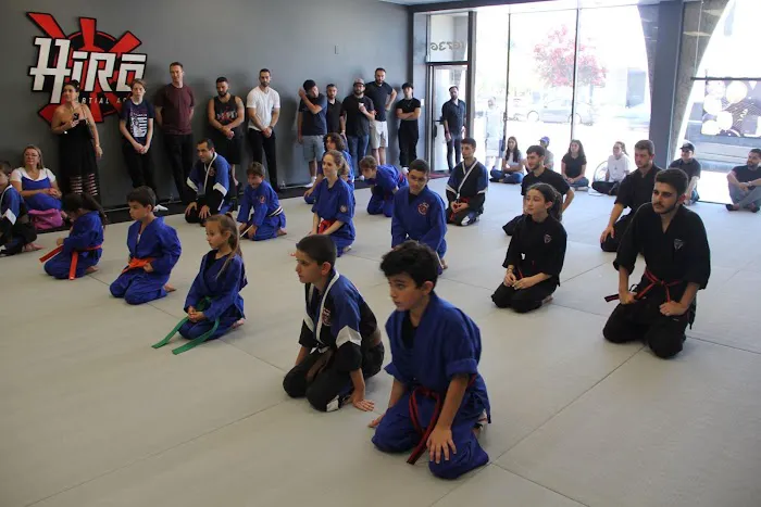 Hiro Martial Arts Picture 9