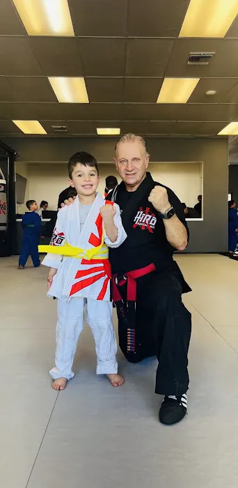 Hiro Martial Arts Picture 10