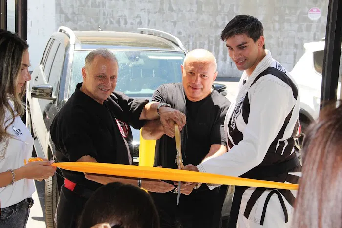 Hiro Martial Arts Picture 8