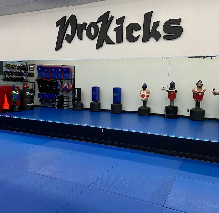 ProKicks Martial Arts Academy Picture 1