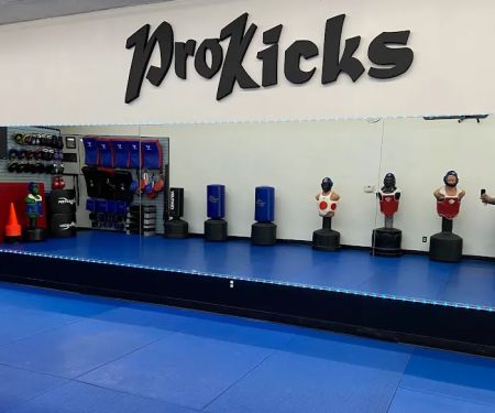 ProKicks Martial Arts Academy