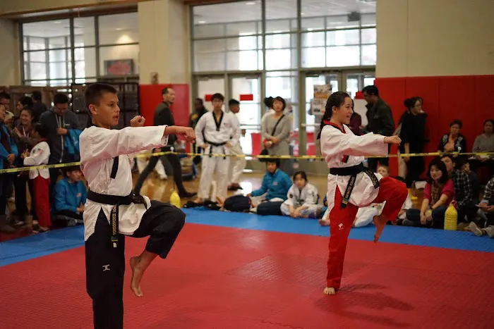 ProKicks Martial Arts Academy Picture 2