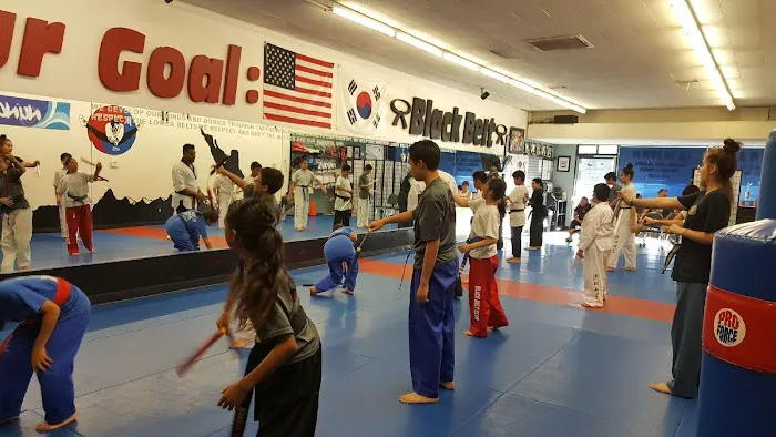 ProKicks Martial Arts Academy Picture 8