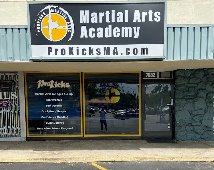 ProKicks Martial Arts Academy Picture 9