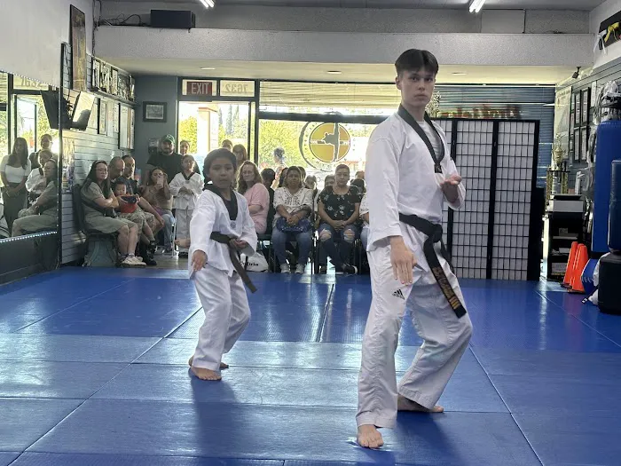 ProKicks Martial Arts Academy Picture 7