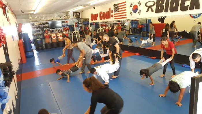 ProKicks Martial Arts Academy Picture 6