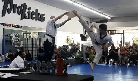 ProKicks Martial Arts Academy Picture 10