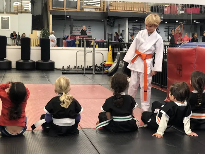 Team Karate Centers Picture 4