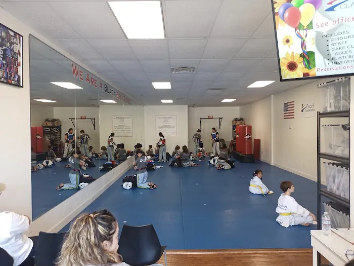 Excel Taekwondo Academy Picture 3