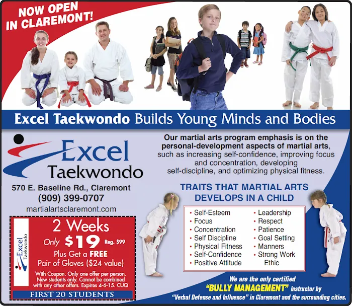 Excel Taekwondo Academy Picture 7
