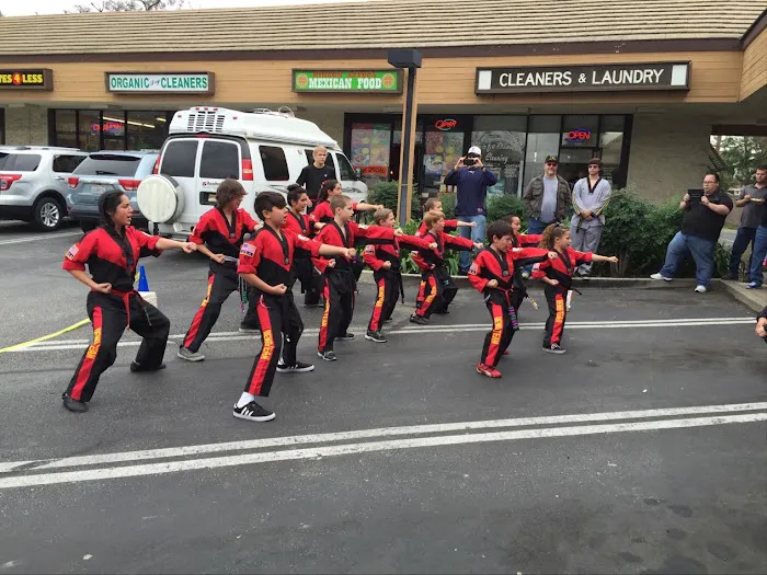 Excel Taekwondo Academy Picture 5