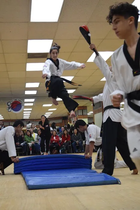 YK taekwondo center Picture 3