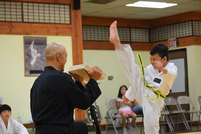 YK taekwondo center Picture 4