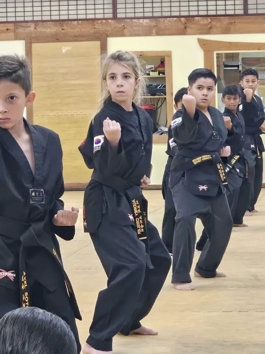 YK taekwondo center Picture 9