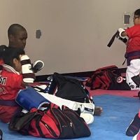 US OLYMPIC TAE KWON DO INSTITUTE ico