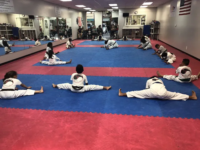 US OLYMPIC TAE KWON DO INSTITUTE Picture 2