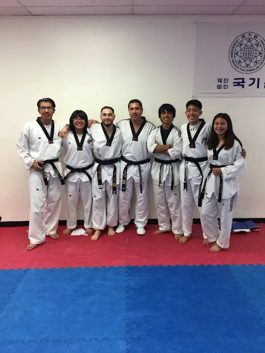 US OLYMPIC TAE KWON DO INSTITUTE Picture 5