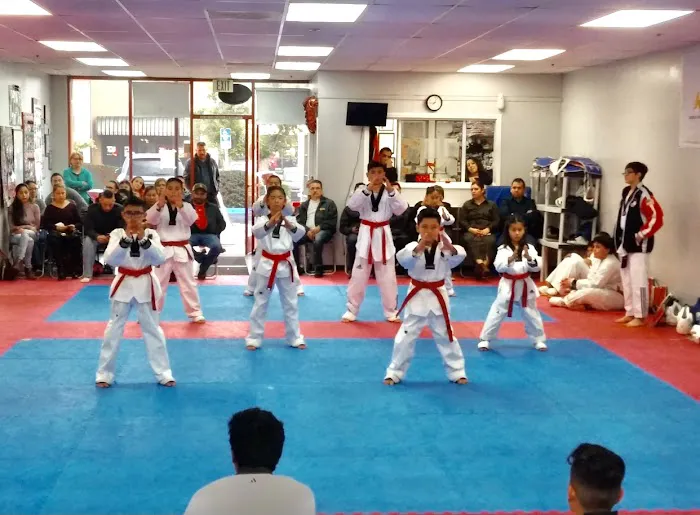 US OLYMPIC TAE KWON DO INSTITUTE Picture 6