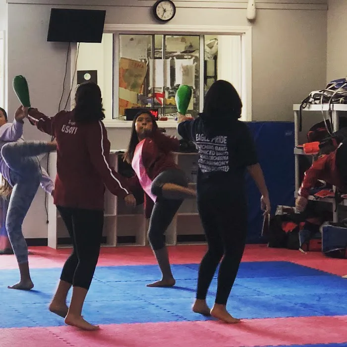 US OLYMPIC TAE KWON DO INSTITUTE Picture 8