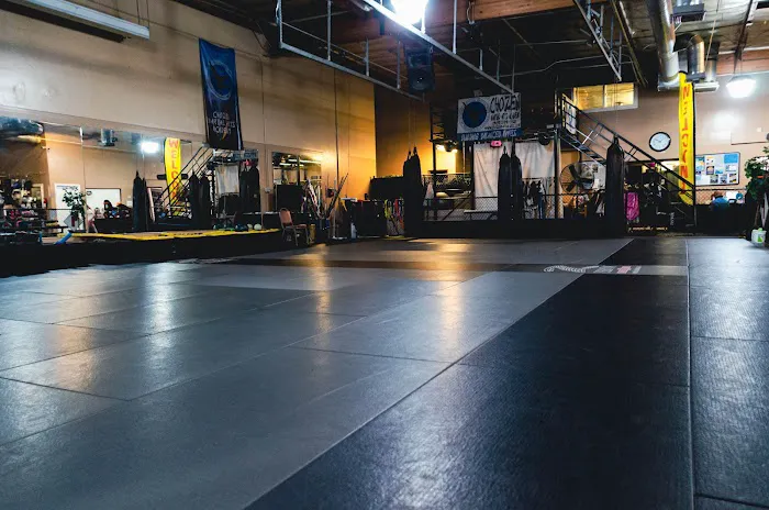 Chozen Martial Arts Academy Picture 1