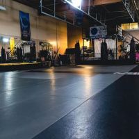 Chozen Martial Arts Academy ico