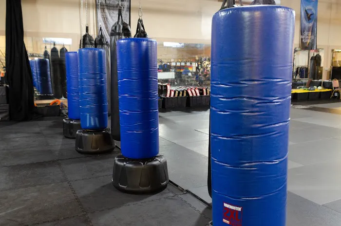 Chozen Martial Arts Academy Picture 5