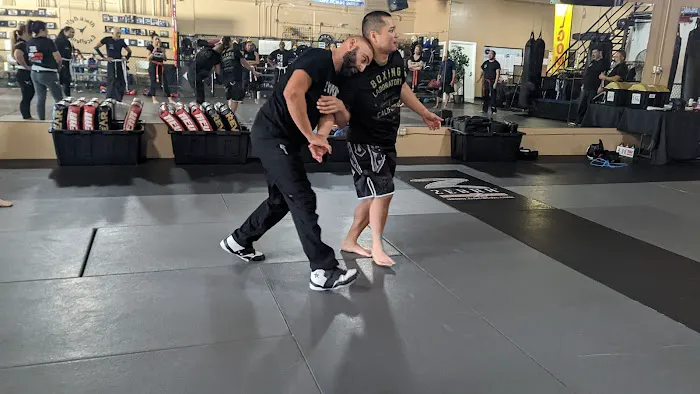 Chozen Martial Arts Academy Picture 8