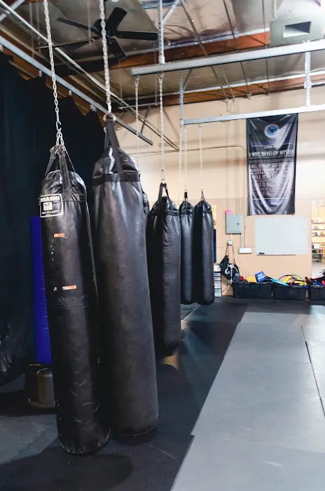 Chozen Martial Arts Academy Picture 9