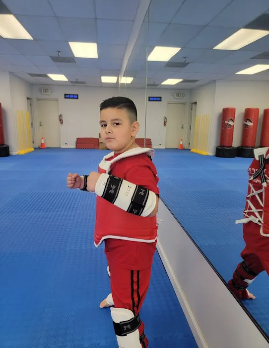 Excel Taekwondo Academy Picture 10
