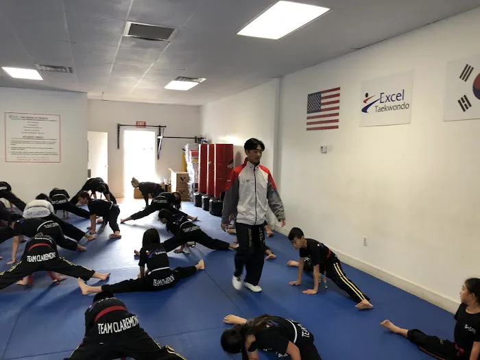 Excel Taekwondo Academy Picture 7