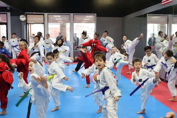 Master Kang Taekwondo Picture 4