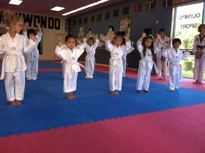US Taekwondo Center Picture 6