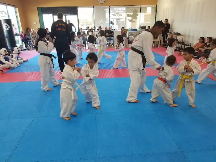 US Taekwondo Center Picture 4