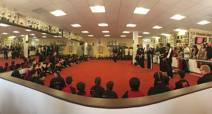Red Dragon Karate Diamond Bar Picture 8