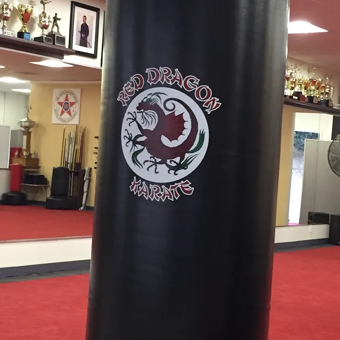 Red Dragon Karate Diamond Bar Picture 10