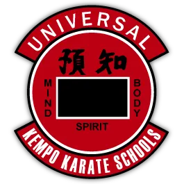 Sova Kempo Karate School, LLC Picture 6