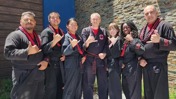 Sova Kempo Karate School, LLC Picture 4