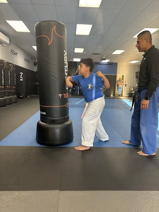 Frazier Martial Arts Picture 3