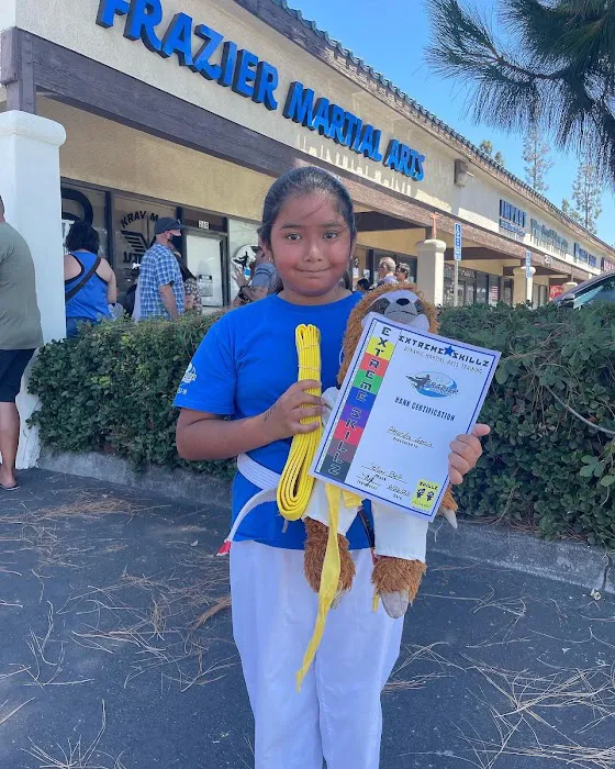 Frazier Martial Arts Picture 4