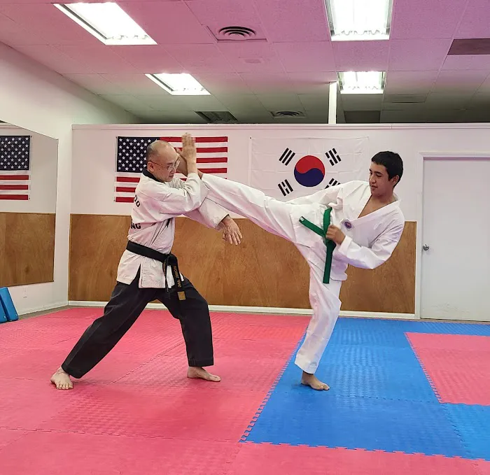 Ace Taekwondo Academy, USA Picture 3